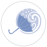 ביצועים בתנאי רוח ביצועים בתנאי רוח