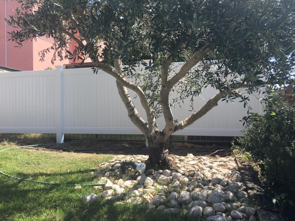 גדרות ויניל לגינה בחיפה והקריות (1)